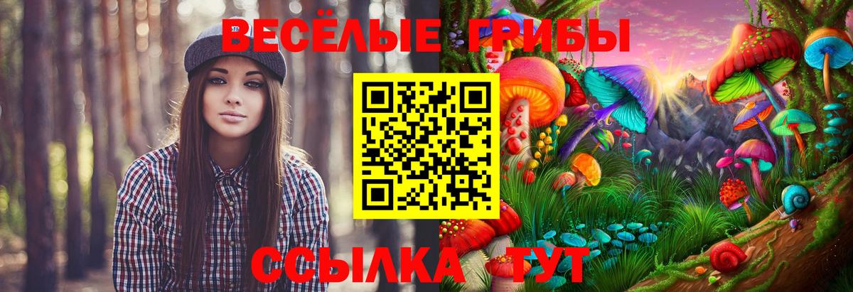 Галлюциногенные грибы мухоморы Гурьевск